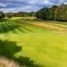 David Sheppard Takes the Helm as Didsbury Golf Club Captain Didsbury Golf Club course in summer.