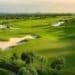 Know Your Rules With Peter Turner - March 2025 Edition Golf