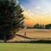 YouTube Star Peter Finch Plays Match at Hawarden Golf Club YouTube Star Peter Finch Plays Match at Hawarden Golf Club