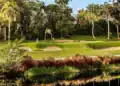 Puerto Rico: A Guide to its Golf Courses & Culture TPC Dorado Beach East