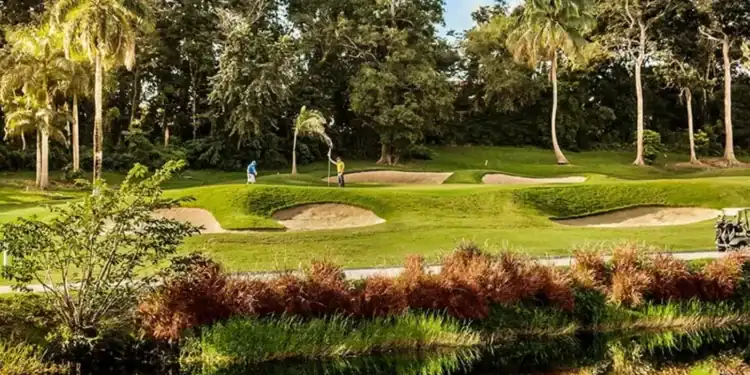 Puerto Rico: A Guide to its Golf Courses & Culture TPC Dorado Beach East