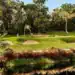 Puerto Rico: A Guide to its Golf Courses & Culture TPC Dorado Beach East