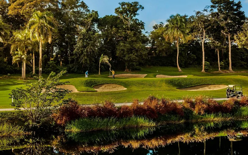 Puerto Rico Golf Courses Lead Eco-Friendly Tourism TPC Championship Golf Courses Dorado Beach Resort