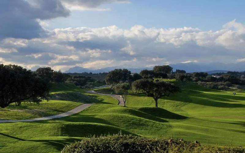 Discover Madrid’s World-Class Golf Venues a green field with trees and a path