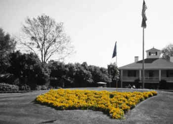 Amazon Prime to Stream Masters Tournament from 2026 Vibrant yellow flowers in heart shape.