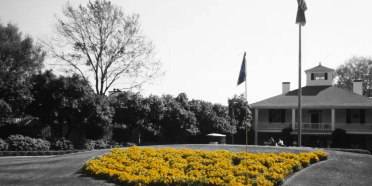 Amazon Prime to Stream Masters Tournament from 2026 Vibrant yellow flowers in heart shape.