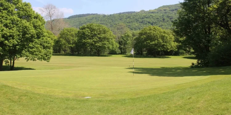 Lush green golf course with trees