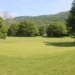 Lush green golf course with trees